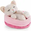 Image de nici SLEEPING PETS KAETZC