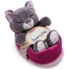 Image de nici Doudou Sleeping Pets chat gris dans un panier rose NICI GREEN gris