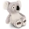 Image de NICI Peluche Koala Barry 25cm VERT