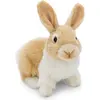 Image de nici Doudou lapin Autre