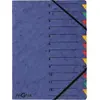 Image de Pagna P2413102 Trieur Bleu Din A4 Carton Aggloméré Nombre De Compartiments: 12