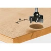 Image de Festool Mèche à ferrer HW S8 D20