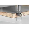 Image de Fraise à affleurer Festool HW HW/KLS D22/8-OFK | 490565