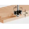 Image de Festool Plaquettes pour fraises à feuillurer HW S8 D38/12