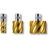 Image de Fein Fraise Hss Dura 50 Emmanchement Quickin, Ø Perçage 21 Mm, Profondeur De Coupe 50