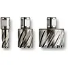 Image de Fein - 1x Hss Nova 25 Carotteuse Avec Prise Weldon 3/4' 25 Mm Ø 39 Mm - 63134390051