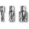 Image de FEIN 63134170301 HSS SPECIAL 25 Carotteuse HSS avec douille Weldon 3/4