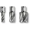 Image de Fein - 1x Hss Special Carotteuse Avec Admission Weldon 3/4' 25 Mm Ø 17 Mm - 63134170301
