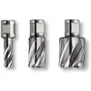 Image de Fein - 1x Hss Special Carotteuse Avec Admission Weldon 3/4' 25 Mm Ø 24 Mm - 63134240301