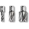 Image de Fein 1x HSS SPECIAL Carotteuse avec admission Weldon 3/4" 25 mm Ø 32 mm - 63134320301