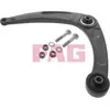 Image de Bras de suspension, suspension de roue FAG 821 0428 10