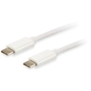 Image de C  ble USB Type C Equip Platinum, 2m