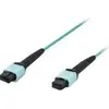 Image de DIGITUS Ligawo - Câble à fibre optique (OM3, multimode, 50/125 µ, 12 fibres, MPO Umbra, 30 m, coupé PC, jusqu'à 40 Gbit/s et 100 Gbit/s), couleur bleue