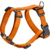 Image de Hunter Harnais pour chien London Orange réglable