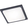 Image de TRAVE anthracite Trio lampe de façade plafond extérieur 620160142