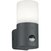Image de Applique d'extérieur HOOSIC - MOVEMENT SENSOR anthracite Trio 222260142