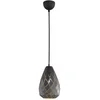 Image de ONYX lampe suspendue anthracite par Trio 301300142