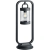 Image de Lampe de jardin extérieure avec détecteur de crépuscule 60 cm SAMBESI 504160142 Trio