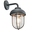 Image de Lampe de façade lampe murale d'extérieur DUERO anthracite Trio 202760142