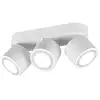 Image de Trio Taurus LED plafonnier 3x5W blanc mat blanc chaud