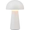 Image de LENNON lampe d'extérieur portable blanc RL R52176101