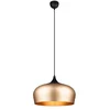 Image de Lustre CHIRON E27 40W noir/doré