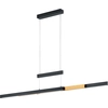 Image de Lampe LED suspendue TRAJAN noir Trio 375310502