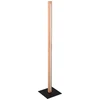 Image de Lampe sur pied LED BELLARI marron Trio 426410130