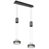 Image de LED FRANKLIN lampe suspendue anthracite par Trio 326510242