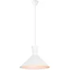 Image de Lampe suspendue ENZO R30781931 RL