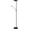 Image de Lampe sur pied LED BRANTFORD noir Trio 425610232