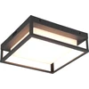Image de Lampe de façade plafond pour l'extérieur WITHAM anthracite Trio 677860142