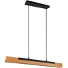 Image de TRIO Suspension LED Kerala 341610132 noir, 25 W, 3000 lm, 3000 K