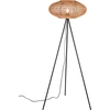 Image de HEDDA lampadaire noir Trio 412300136