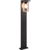 Image de ARDILA lanterne de jardin extérieure - TWILIGHT SENSOR noir Trio 411660132