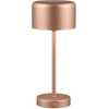 Image de Trio Leuchten - Lampe de table moderne brune rechargeable - Poppie Touch-fonction Dimmer I Dimmable I Salon I Chambre à coucher - Acier Rond - I (non interchangeable) LED