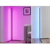 Image de Lampadaire LED TRIO RE R45721102 LEVEL RGB 10 W noir