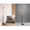 Image de Lampadaire LED avec bras flexible noir, 169 cm