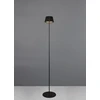 Image de Lampe sur pied d'extérieur sans fil noir LED 2W SUAREZ RL
