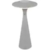 Image de Lampe d'extérieur rechargeable grise à LED intégrées 2W TORREZ RL