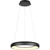 Image de Suspension LED CARDONA noire 38 W, nuances de blanc, 4400 lm, métal, dimensions : 150 x 62 x 62 cm, IP20, Trio