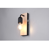 Image de Applique murale ARTURO bois clair-noir 1xE27x10W, dimensions : 24x8x11 cm, IP44, Trio