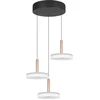 Image de Suspension LED CELESTE, nuances brun-noir, 7 W, blanc chaud, 2250 lm, verre, dimensions : 200 x 35 x 35 cm, IP20, Trio