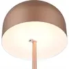 Image de Lampadaire LED, variateur tactile, batterie, USB, Coffee, H 147 cm