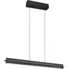Image de Suspension LED, CCT, noir doré, tactile, intensité lumineuse variable, H 150cm