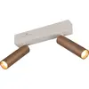 Image de Spot LED TRIO AMBALA, 849210265, double, 2x 5,5 W, 2x 500 ml, café