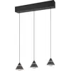 Image de Suspension LED, noir mat, changement de couleur, H 200 cm