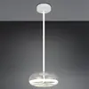 Image de TRIO 230561142 MACKENZIE Applique murale LED SMD 8 W/800 lm 3000 K IP54 Anthracite