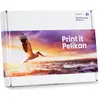 Image de Pelikan Toner Brother LC223 Value Pack B/C/M/Y