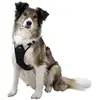 Image de Harnais pour chien Pulsive, tour de cou 50 - 62 cm, noir, Kerbl
